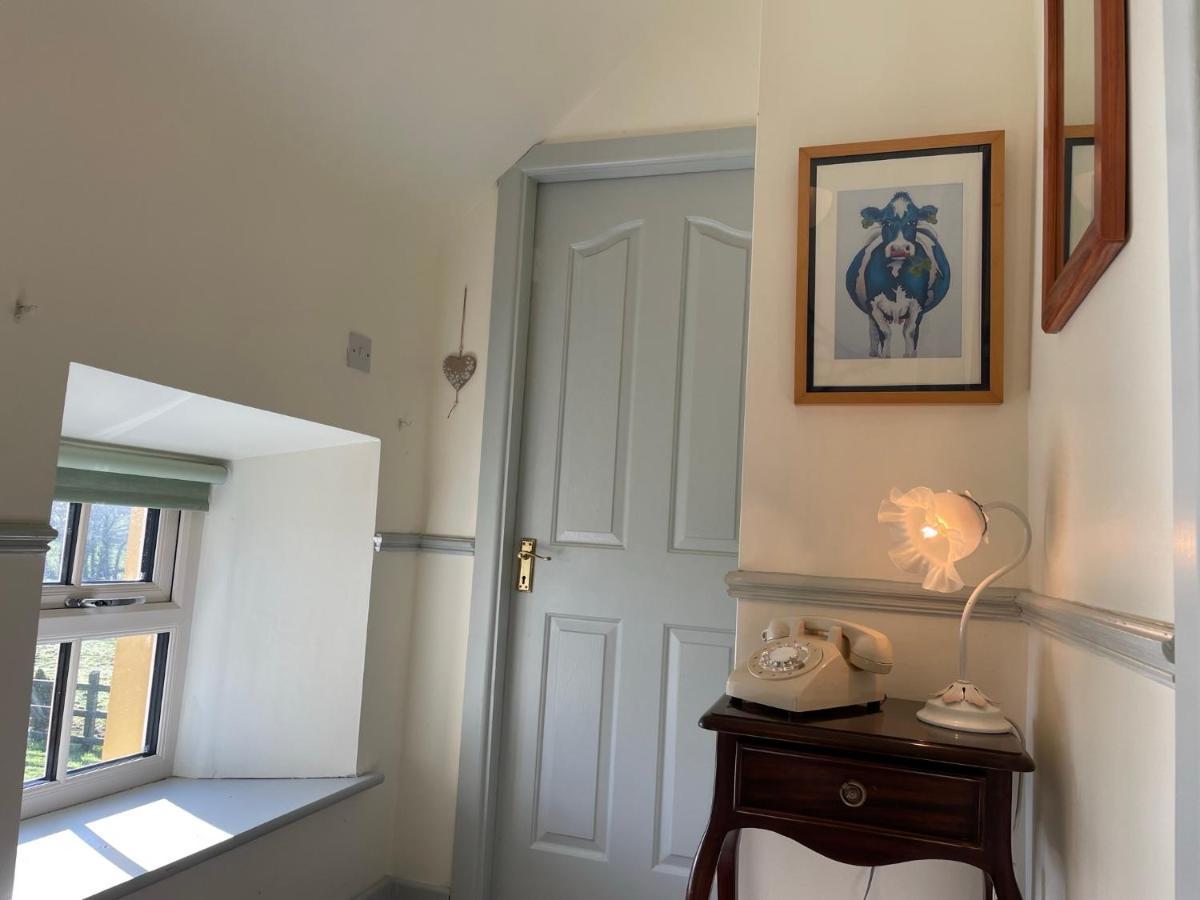 Mai'S Cottage Suite - Charming Holiday Rental Kilmallock Exterior foto